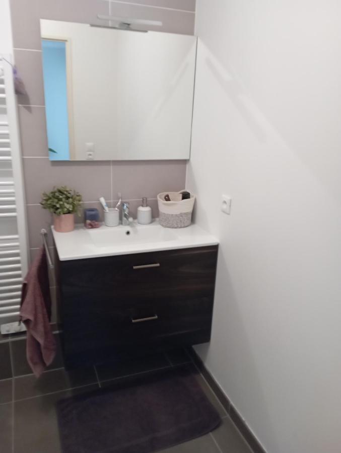 Chambre Nature Chez L'Habitant ストラスブール エクステリア 写真